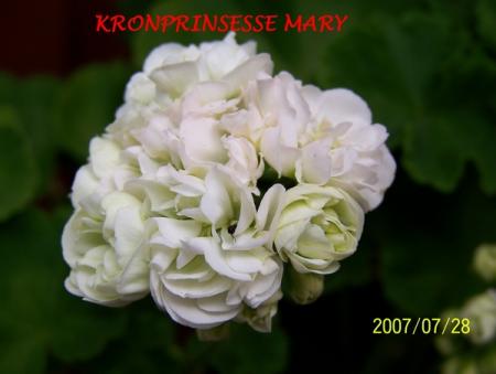 gallery_5074_2162_137949.jpg