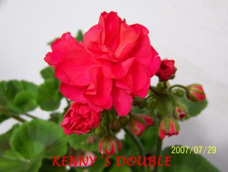 gallery_5074_2162_44832.jpg