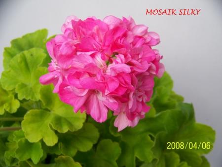 gallery_5074_2164_193874.jpg