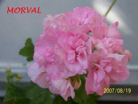 gallery_5074_2164_46484.jpg