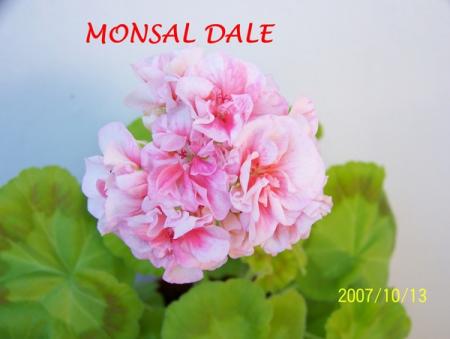 gallery_5074_2164_84289.jpg