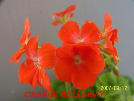 gallery_5074_2166_109683.jpg