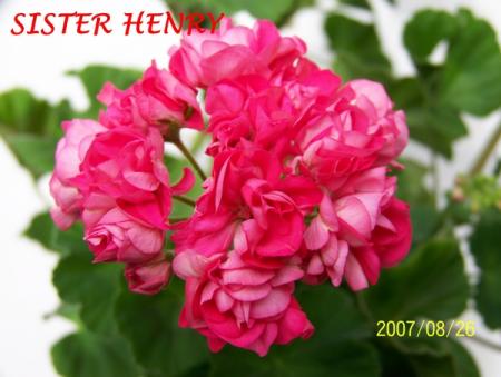 gallery_5074_2170_16377.jpg