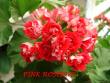 tn_gallery_5074_2167_68662.jpg