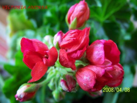 gallery_5074_2173_74891.jpg