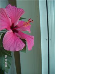 gallery_11607_2183_6804.jpg