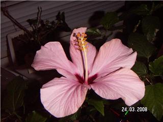 gallery_11607_2183_7396.jpg
