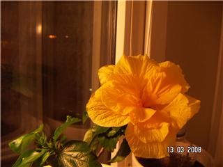 gallery_11607_2183_8765.jpg