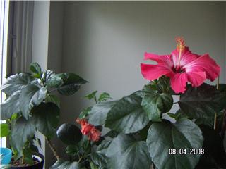 gallery_11607_859_9677.jpg