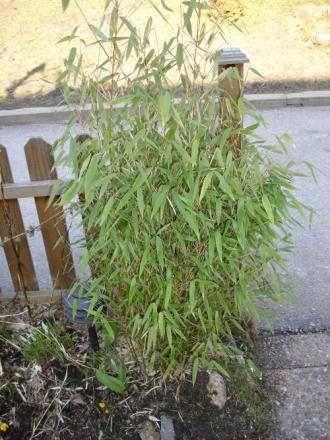 gallery_14638_2191_75615.jpg