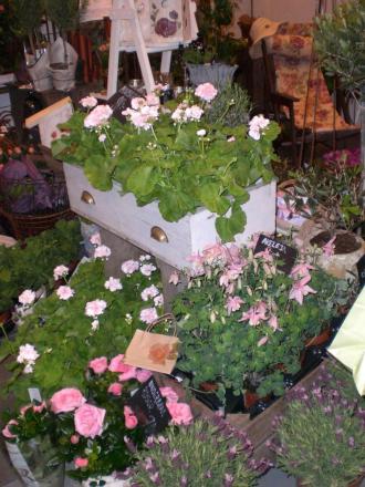 gallery_941_2147_73351.jpg