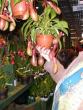 tn_gallery_941_2147_420128.jpg
