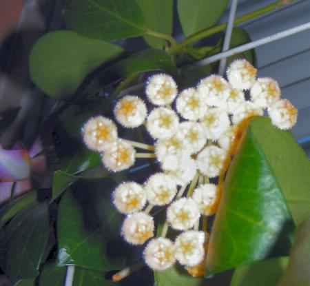 gallery_352_2206_115331.jpg
