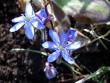 tn_gallery_5307_2014_17274.jpg