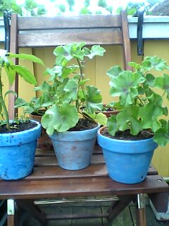 gallery_7888_2208_13651.jpg