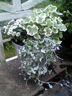 gallery_7888_2208_17733.jpg