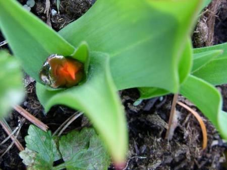gallery_5307_2014_65471.jpg