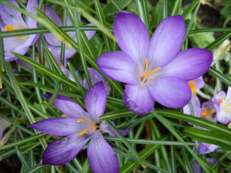 gallery_5307_2014_69547.jpg