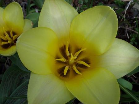 gallery_5307_2014_70064.jpg