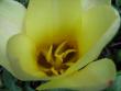 tn_gallery_5307_2014_11860.jpg