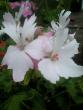 tn_gallery_7888_2208_7776.jpg