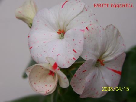 gallery_5074_2174_18983.jpg