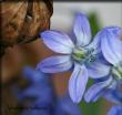 tn_gallery_11016_2212_30238.jpg