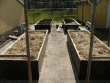 tn_gallery_12581_2215_41364.gif