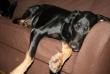 tn_gallery_7888_2213_1879.jpg