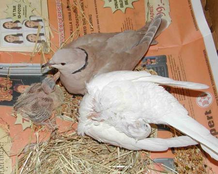 gallery_5429_2220_3245.jpg