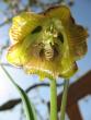 tn_gallery_15284_2210_37604.jpg