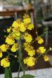 tn_gallery_5447_117_18768.jpg