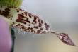 tn_gallery_5447_117_40262.jpg