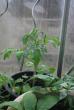 tn_gallery_8418_2219_143064.jpg