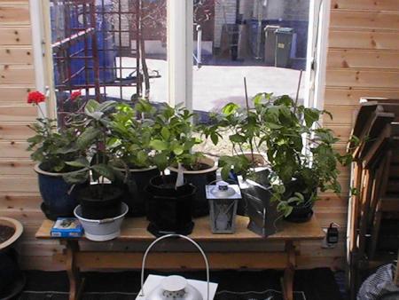 gallery_10191_1987_10831.jpg