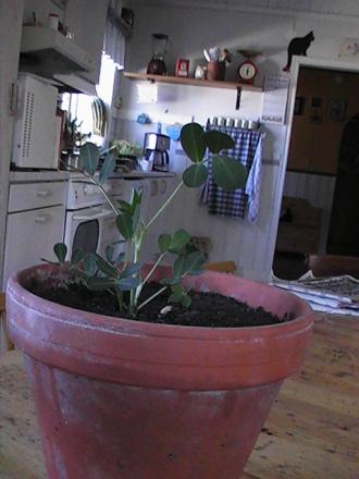 gallery_10191_2098_155924.jpg