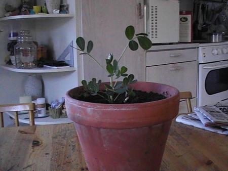 gallery_10191_2098_71208.jpg