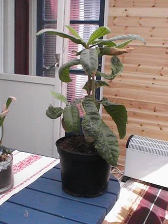 gallery_10191_2098_8694.jpg