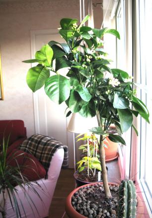 gallery_10947_664_52653.jpg