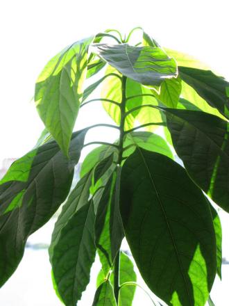 gallery_10947_664_72705.jpg