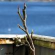 tn_gallery_10947_664_34747.jpg