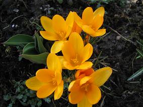 gallery_15433_2231_19165.jpg