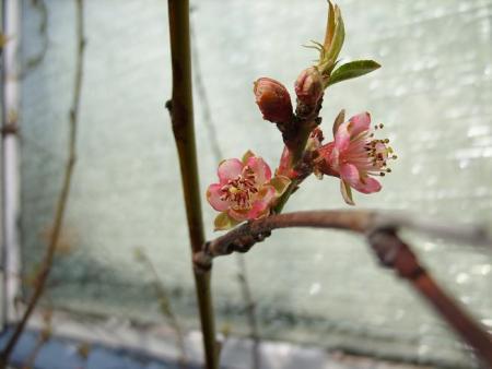 gallery_5307_2014_25907.jpg