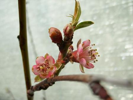 gallery_5307_2014_54582.jpg