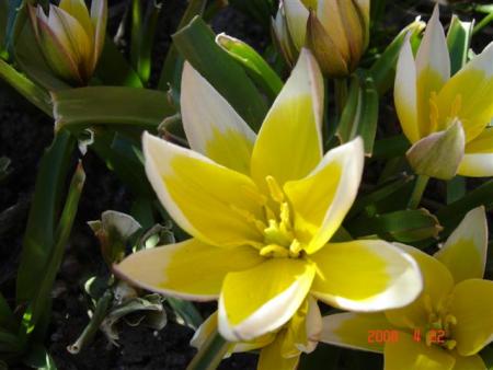 gallery_11893_2243_12796.jpg