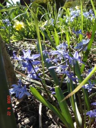 gallery_11893_2243_39627.jpg