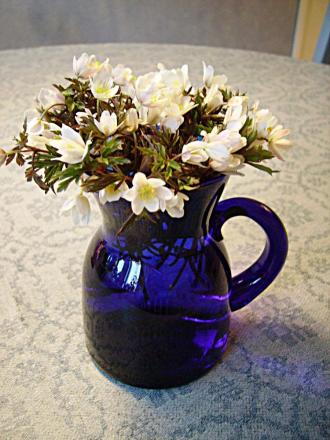 gallery_13447_1715_22764.jpg