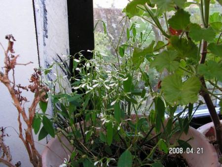 gallery_1786_950_6541.jpg