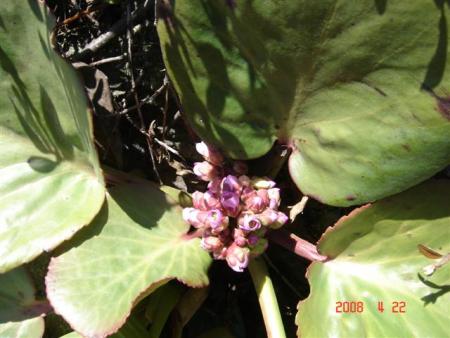 gallery_11893_2243_17710.jpg