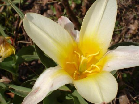 gallery_14610_2242_38945.jpg